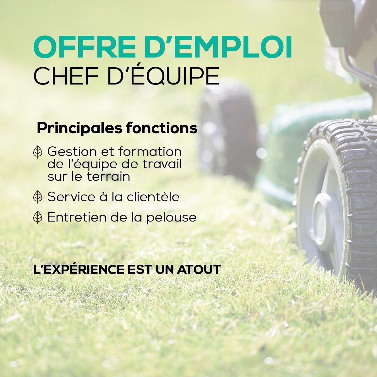 Emploi chef d'équipe